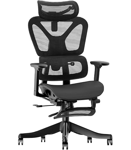 Amazon.co.jp: Hara Chair ハラチェア ニーチェ 《標準モデル