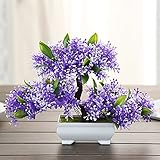 etbotuシミュレートPotted Plant人工植物、かわいいMicrolandschaftホームオフィスホテル装飾 パープル KY-HOME-03192018-046