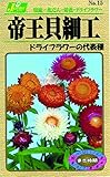 カネコ種苗 草花タネ015 帝王貝細工 10袋セット