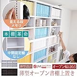 MEMORIA 棚板が1cmピッチで可動する 薄型オープン上置き幅120.5