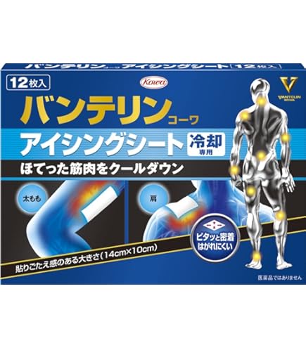 Amazon.co.jp: バンテリン アイシングスプレー 420ml : ドラッグストア