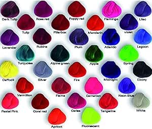 Amazon Co Jp アレスインターナショナル ディレクションカラー ml シルバー ホビー