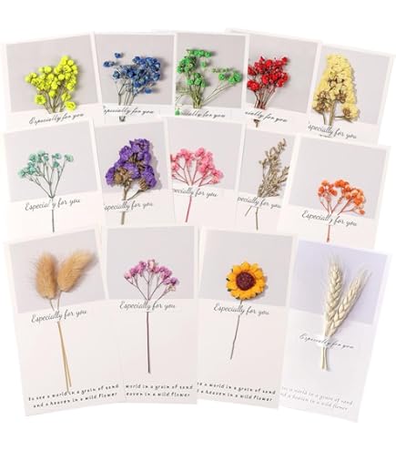 Amazon.co.jp: 「花様年華 THE NOTES 1(日本語版)」小説