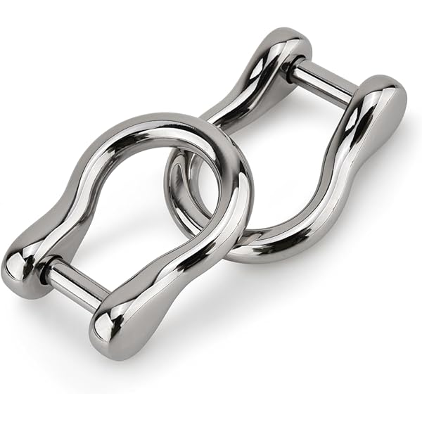 Amazon.co.jp: [silver KYASYA] キーフック ネイティブ シルバー