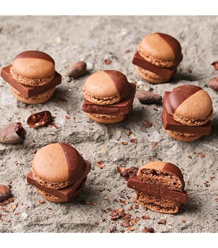 Amazon.co.jp: MAMEIL CHOCOLATE MACARON 生チョコレート マカロン6個