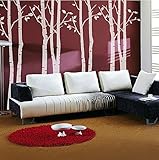 N.SunForest White Birch Tree Wall Decals Family Tree Wall Sticker For Sitting room/ Restroom/ Study/