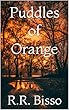 Puddles of Orange (English Edition)