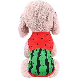 ペット服 犬服 Tシャツ ドッグウェア 通気性メッシュ ベスト パジャマ カップ ル服 スポーツ服 タンクトップ 上着 犬猫洋服 可愛い 春夏服 柔らかい 綿製 丸首 犬の服 犬用コスチューム 人気 仮装 ファッション 小型 中型犬服 猫服 涼やか お散歩 お出かけ (L,スイカ)