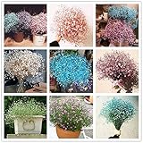 到着ロマンチックgypsophila paniculataシーズ美しい白とピンクの星の種子観賞用花100個MIX