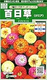 サカタのタネ 実咲花6770 百日草 小輪切り花用サンボウミックス 00906770 10袋セット