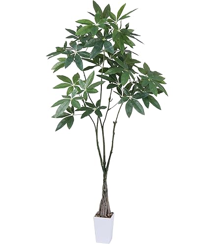 Amazon｜フェイクグリーン 人工観葉植物 観葉樹 造花 パキラ 高さ138cm