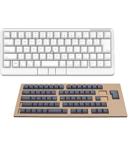 Amazon | HHKB Studio 英語配列 「雪」×「灰」特別セット (無刻印) PD