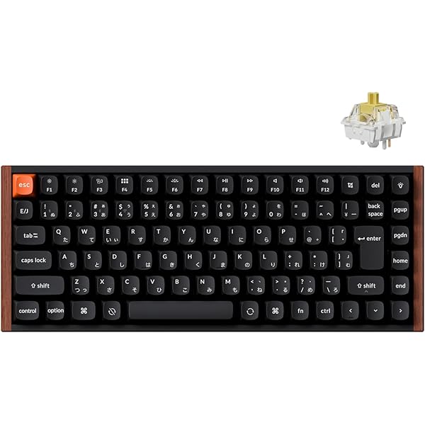 Amazon.co.jp: Geekria 75% キーボードケース、84キーポータブル