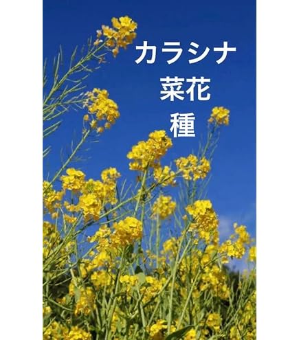 Amazon.co.jp: Hsi09IZ こびとづかんこびと採取BOXフルコンプ全5種