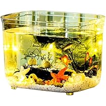 ガラス水槽 ２個セット　別売のフタ(プラスチック)付き！フレームレス JUN フタ受けレール 1m×2本 ガラス厚5mm対応 フタ受け | チャーム