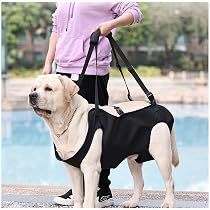 Amazon.co.jp: 犬用車椅子 四輪 軽量 安定設計 歩行補助 ペット