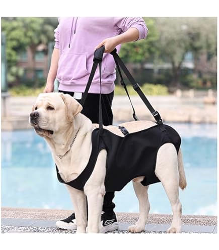 Amazon | 犬 歩行補助ハーネス 介護 ハーネス 胴輪 LaLaWalk ララ