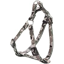 61XW1GAo0-L._AC_UL210_SR210,