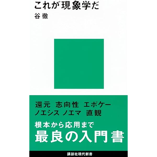 現代現象学―経験から始める哲学入門 (ワードマップ) | 植村玄輝