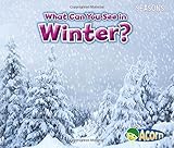 What Can You See in Winter? (Seasons)