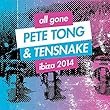 All Gone Pete Tong & Tesnake I