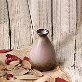 装飾花のプランターの花瓶セラミックデザインのミニ花瓶釉
