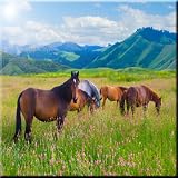 Rikki Knight Horses Grazing on Meadowデザインアートセラミックタイル4 by 4インチ、