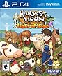 Harvest Moon: Light Of Hope - Special Edition (輸入版:北米)- PS4