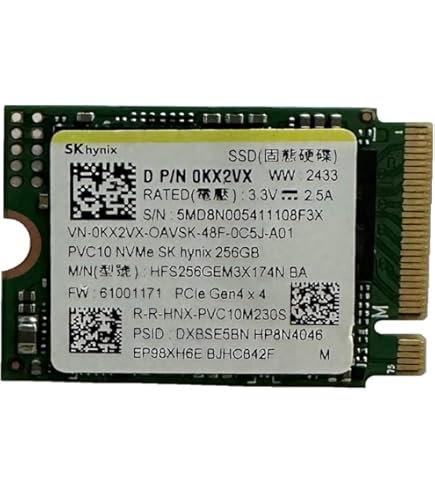 KIOXIA SSD 256 GB M.2 2230 30mm NVMe PCIe 4.0 Gen 4 x 4 BG5 (OEM