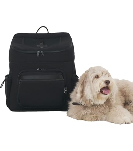 Amazon.co.jp: 【女性の負担軽減設計】PETTENA 犬 リュック 小型犬