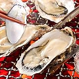 十文字屋商店 殻付き 牡蠣 1kg 13～20個 宮城県産 生食用 カキ かき 貝 冷凍 検査済み