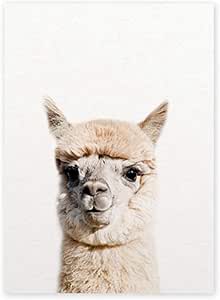 Amazon Co Jp モダンアート キャンバス絵画 アルパカ写真キャンバス壁アートポスタープリント の動物の壁の写真キャンバス絵画 写真リビングルームの装飾フレームレス 70 90cm Generic