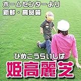株式会社ハヤシ 芝生 品種：姫高麗芝 10平米