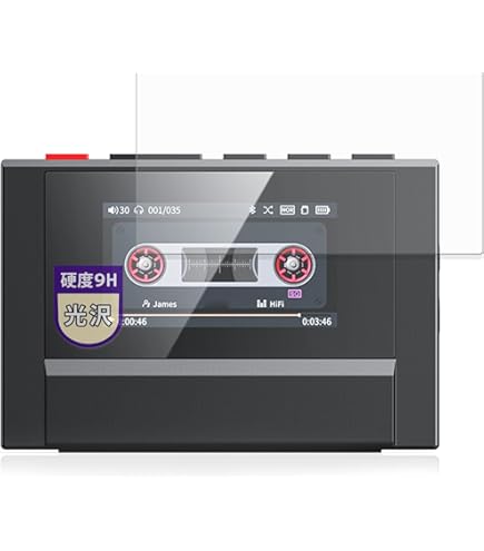 Amazon.co.jp: FIIO Snowsky ECHO MINI FIO-SSEMINI【日本正規販売店