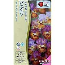 タキイ　アンティークアイロン 2025年最新】Yahoo!オークション -タキイ アイロンの中古品