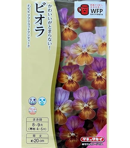 ハンドメイド　ビオラ i>Viola×wittrockiana </i><BR><BR>アンティークカラーのビオラ