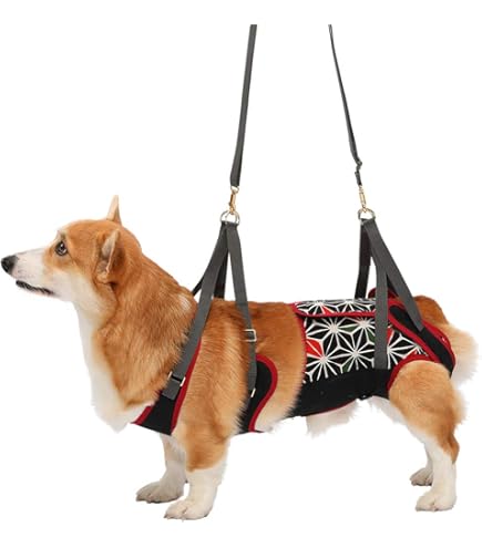 試着のみ　美品 LaLa Walk 歩行補助ハーネス M 小型犬.ダックス用 lalawalk7-08.jpg