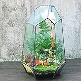 amzmonnsuta 六角形レトロな温室効果ガラス花瓶 多肉植物フラワーポットの家の装飾
