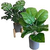 Kugusa 【生花店監修】 フェイクグリーン 人工観葉植物 モンステラ 鉢植え 造花 インテリア 2点セット 花台付き (モンステラとウンベラータ)