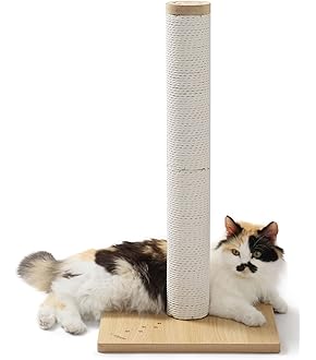 Amazon.co.jp: マルカン NYANTA CLUB 遠赤外線ホッとヒーター 猫