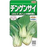 サカタのタネ 実咲野菜3370 チンゲンサイ 00923370
