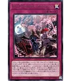 Amazon.co.jp: 遊戯王カード 迷宮城の白銀姫(ウルトラレア) DARKWING