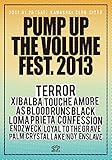 PUMP UP THE VOLUME FEST.2013 DVD
