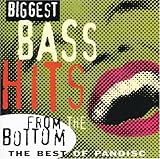 Biggest Bass Hits From The Bottom: The Best Of Pandisc