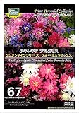 【種子】アキレギア ブルガリス（西洋おだまき）クレメンタインシリーズ フォーミュラミックス　Prime Perennial Collection