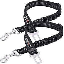 犬猫.coベルト 猫 首輪 ベルトタイプ セーフティバックル 水玉 ドット 303-030