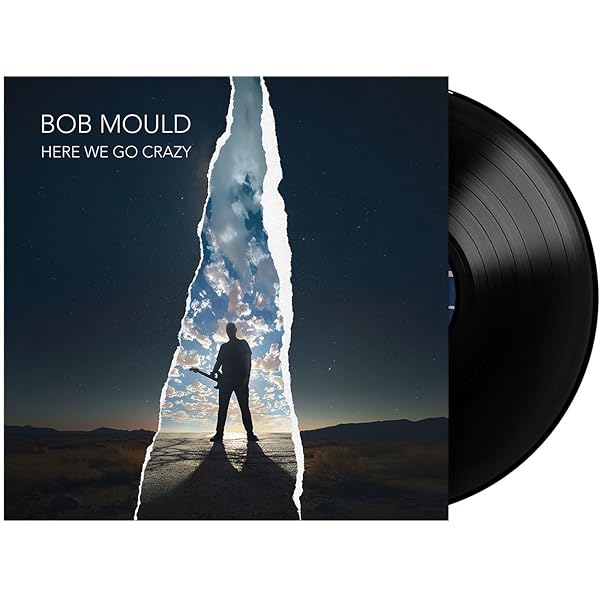 蘭2LP Posies Every Kind Of Light (Purple Vinyl)  (180g) MOVLP3467 Music On Vinyl 未開封 /00520 NjgtOTg0OC5qcGVn.jpeg
