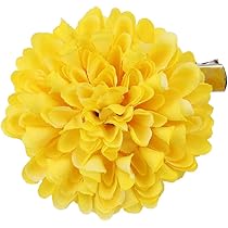 髪飾りViVi【‪ミオン】 Amazon.co.jp: [ミッシュ キッシュ] 髪飾り ヘアアクセサリー 花