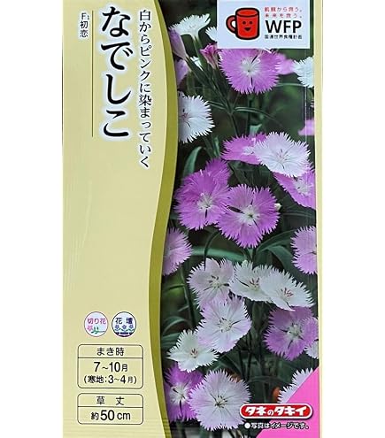 Amazon.co.jp: ダイアンサス【 なでしこ 】種子 0.2ml／タキイ交配