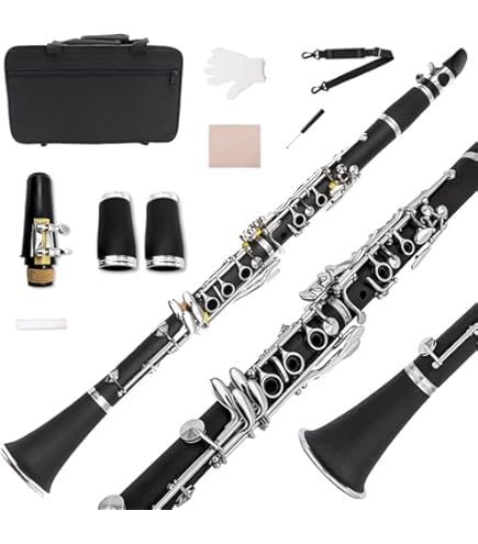 Playtech クラリネット本体 黒 Amazon | PLAYTECH (プレイテック) エスクラリネット 樹脂製管体